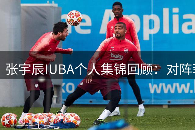 张宇辰IUBA个人集锦回顾：对阵菲律宾末节连进4记三分